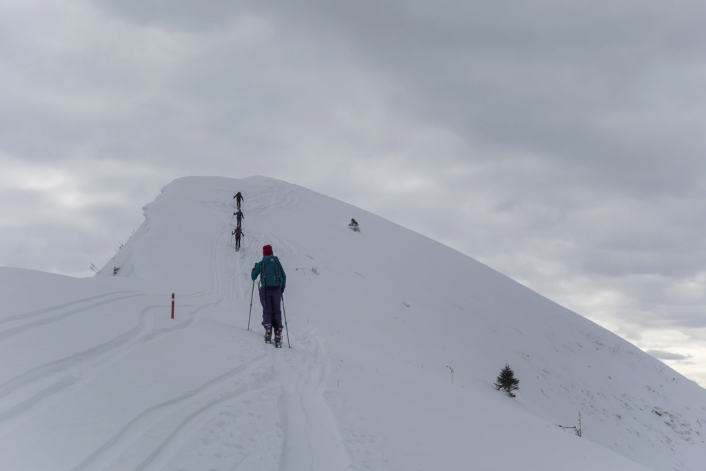 19-20 janvier 2019 : Vanil Blanc - Les Millets 20190122