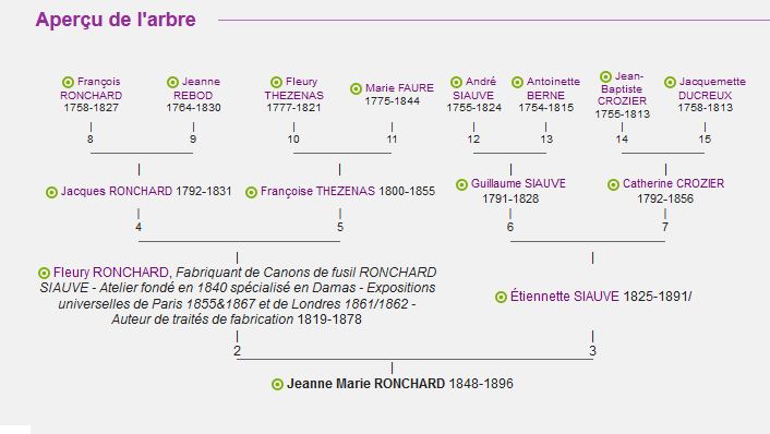 Darne Canons damas Roncha10