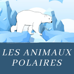 Semaine 9 / 2024 :   L'ours polaire en origami (tutoriel) Miniat10