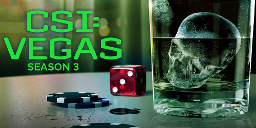 CSI: Vegas (Temporada 3) Image670