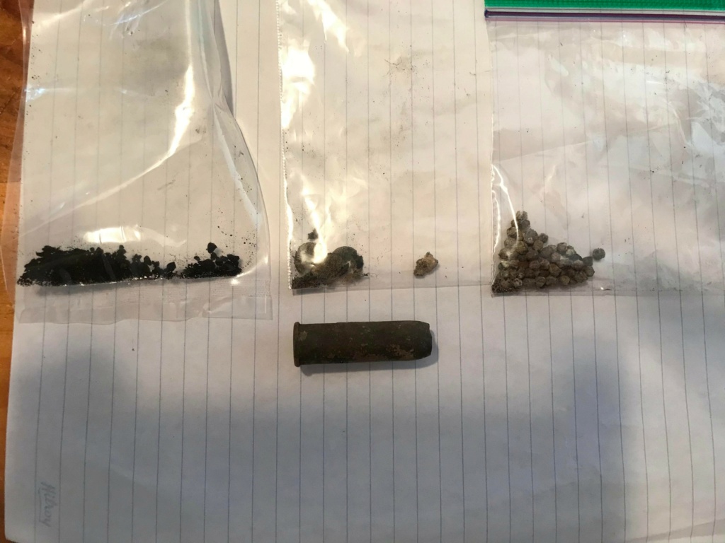 Munition retrouvé intact avec un détecteur de métaux 29872310