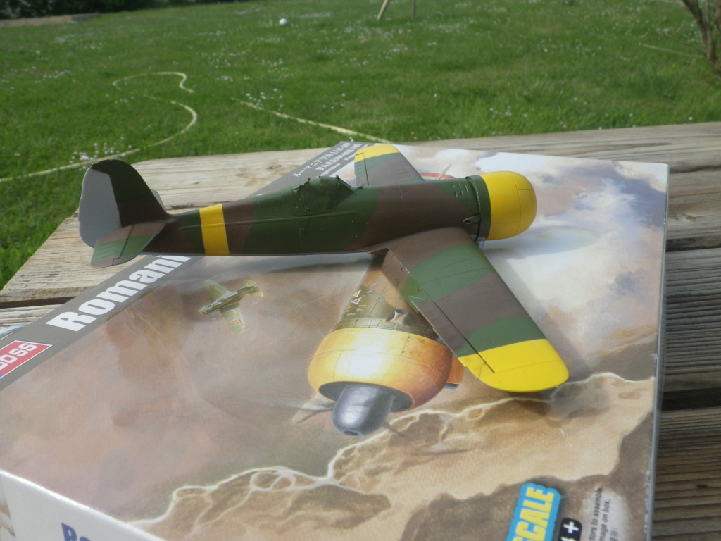 [Hobby Boss] 1/48 - IAR 80   (iar80) Peintu12