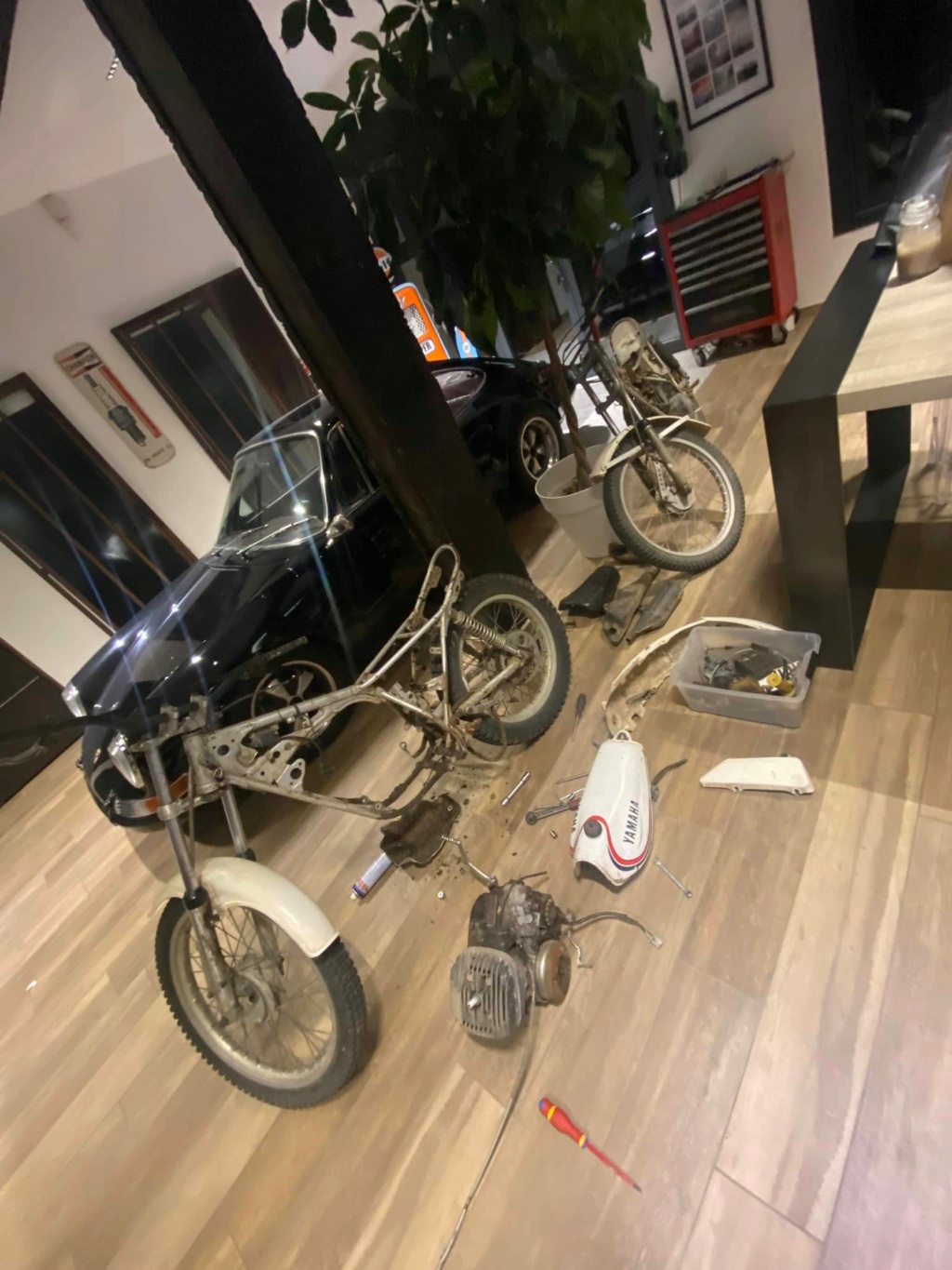 Hello du petit nouveau 12710
