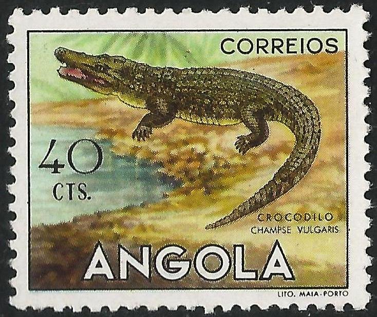 SE BUSCA - EDICIÓN 2024 - Página 5 Nile-c10