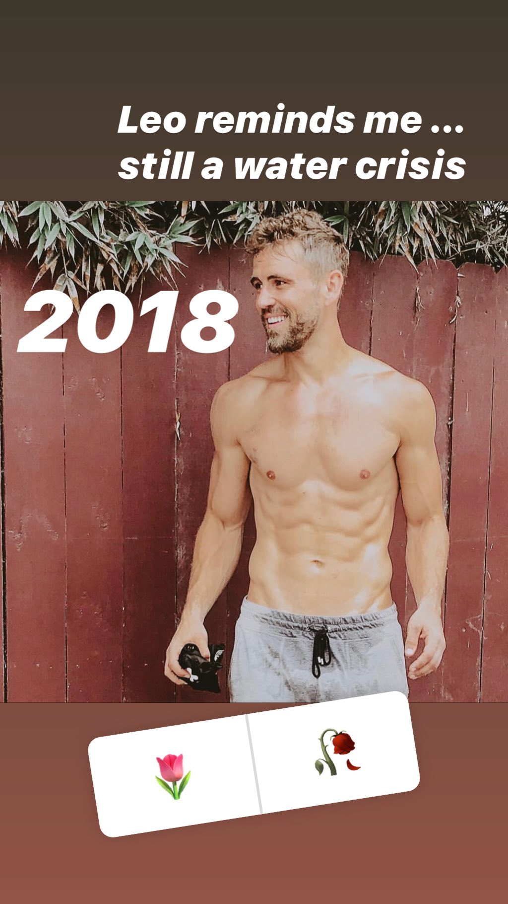 makeitnatural - Nick Viall - Bachelor 21 - FAN Forum - Discussion #27 - Page 68 81180810