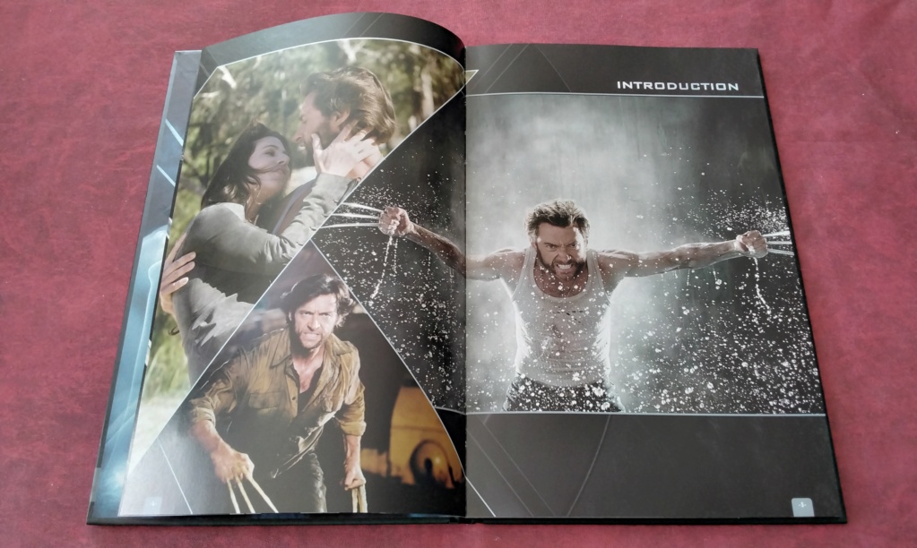 Les DVD et Blu Ray que vous venez d'acheter, que vous avez entre les mains - Page 17 16298013