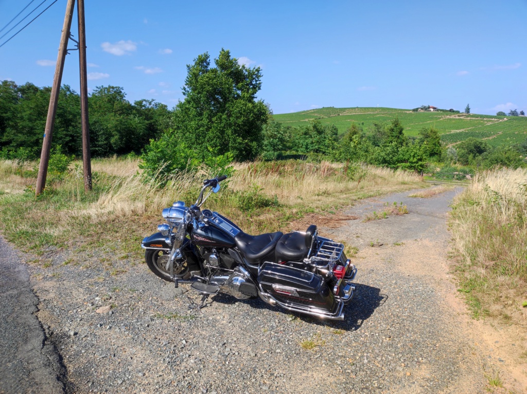 Road King uniquement, combien sur Passion-Harley  - Page 5 Img_2012