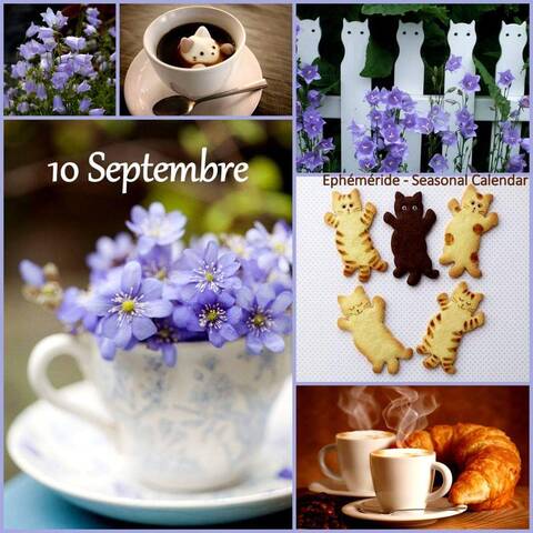 Samedi 10 septembre.