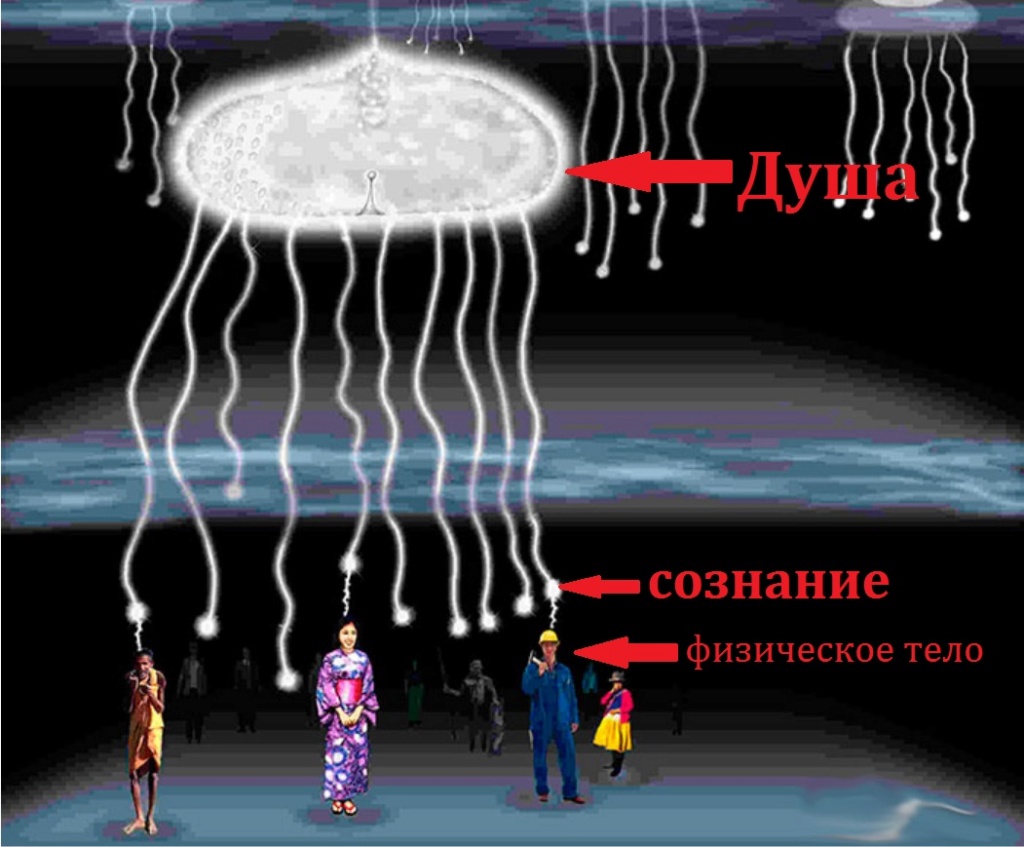 Konstantin2002 - Матрица паразита Sai-a11