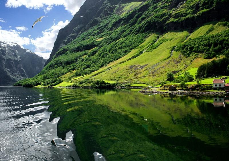 Роскошные пейзажи Норвегии - Страница 24 Fjords10