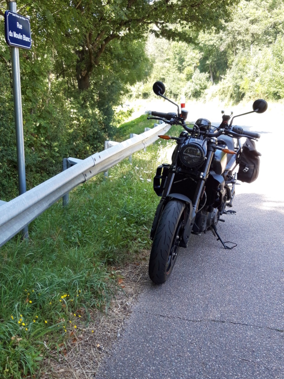 Indian FTR 1200 R ("Carbon" Limited Edition) 20230810