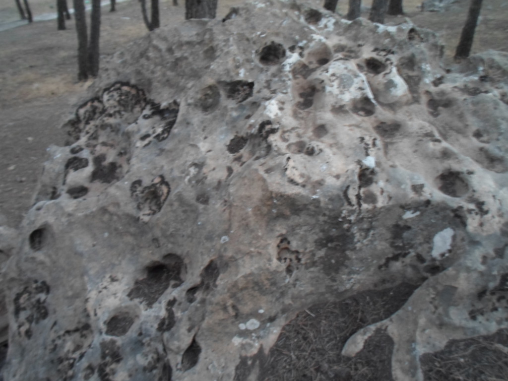 جرون - صخرة بها جرون عشوائية وجرن كبير من اسفل - صفحة 2 Sam_0614