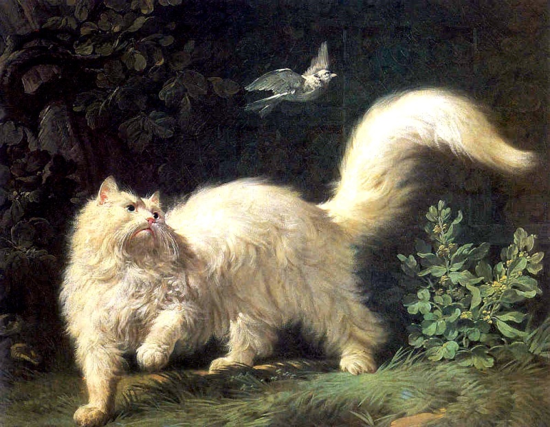 Les chats dans les peintures 14041311