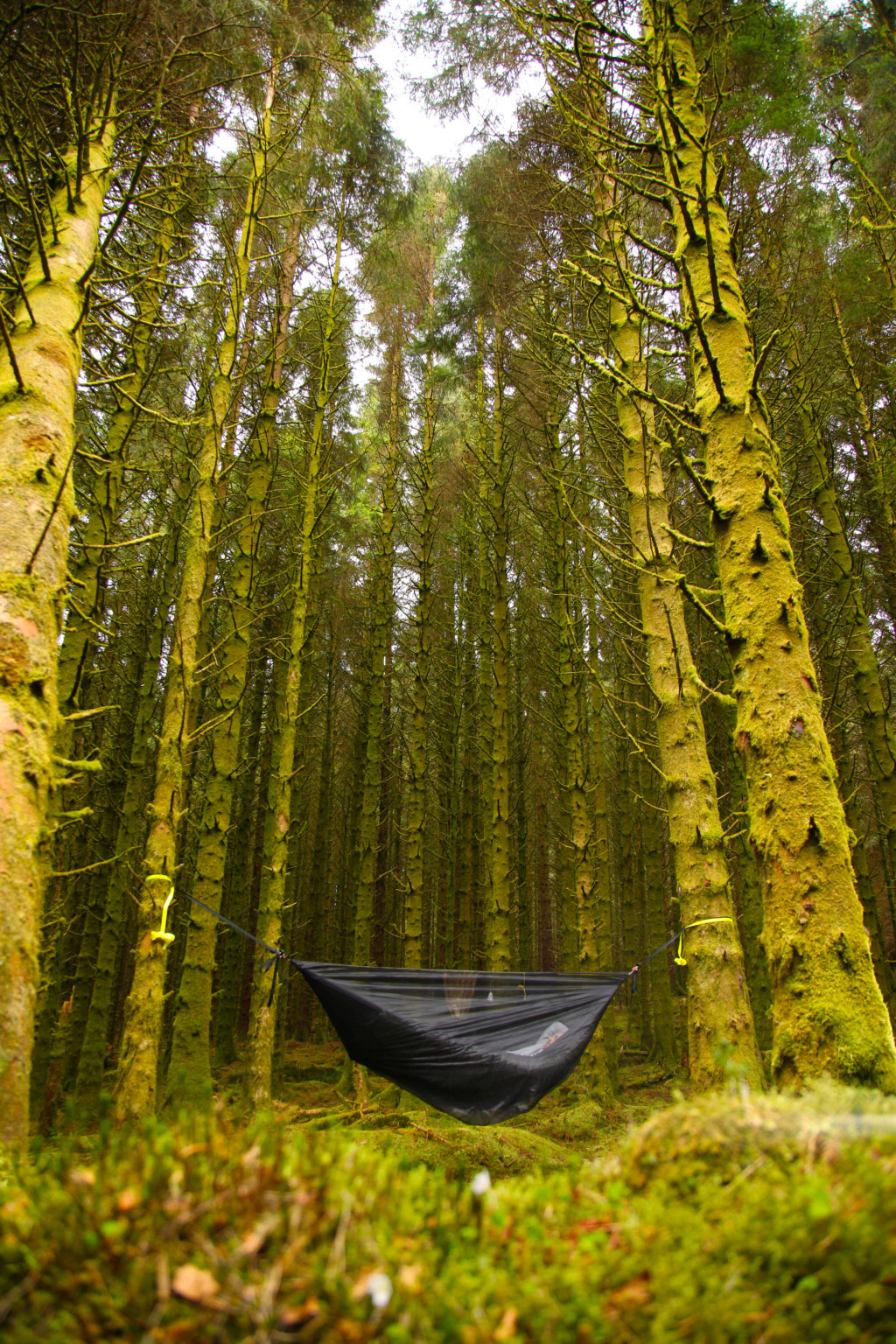 A Thread for Nice Views (with a hammock in them!!) Hammoc10