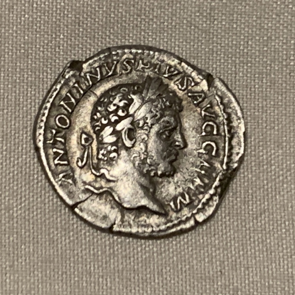 Denario de Caracalla. PM TR P XVI COS IIII P P. Serapis. Roma 52fd3910