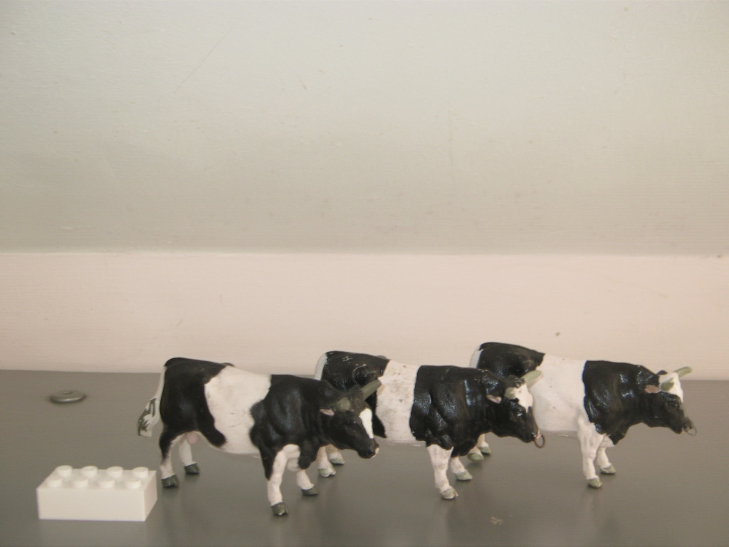 Britains cattle 03116