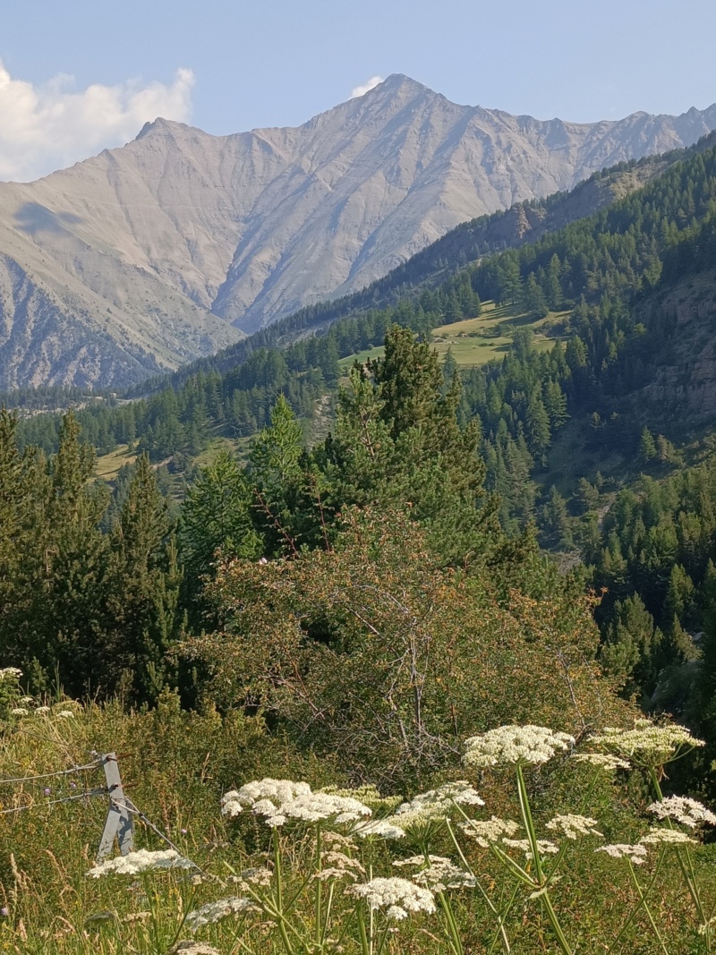 La Grande Traversée des Alpes Img20252