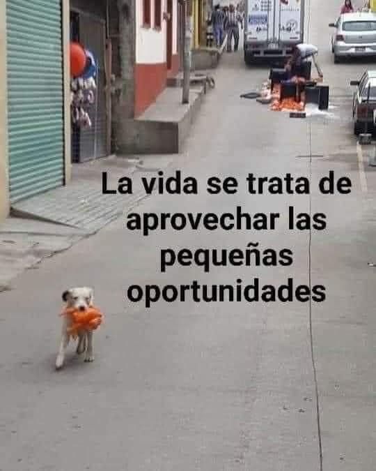 Cuidado con el perro Vol. 3 78f47510