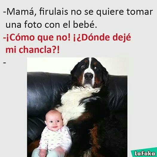 Cuidado con el perro vol.2 F654d510