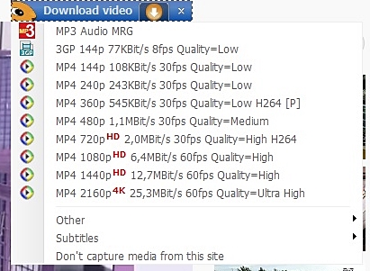 Ant Download Manager says video with .mp4 format and downloads videos with .webm format 00010