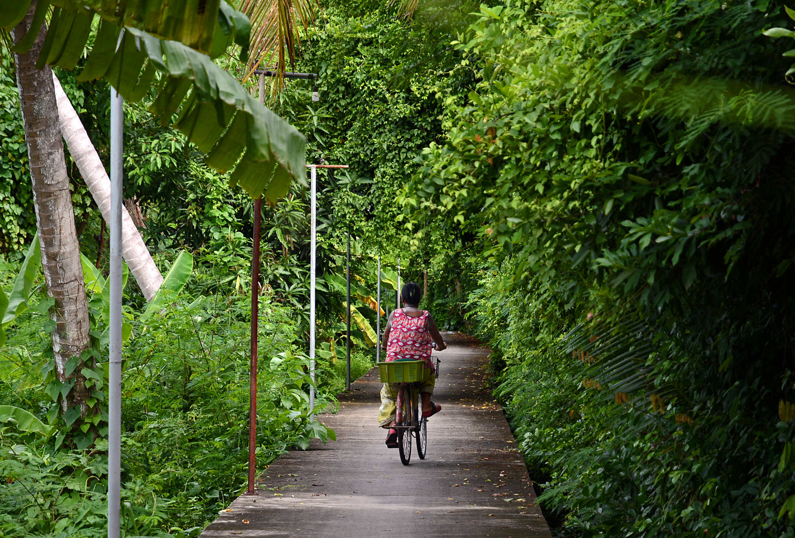 Découvrir l'île de Ko Kret havre de verdure près de Bangkok Dsc_6112