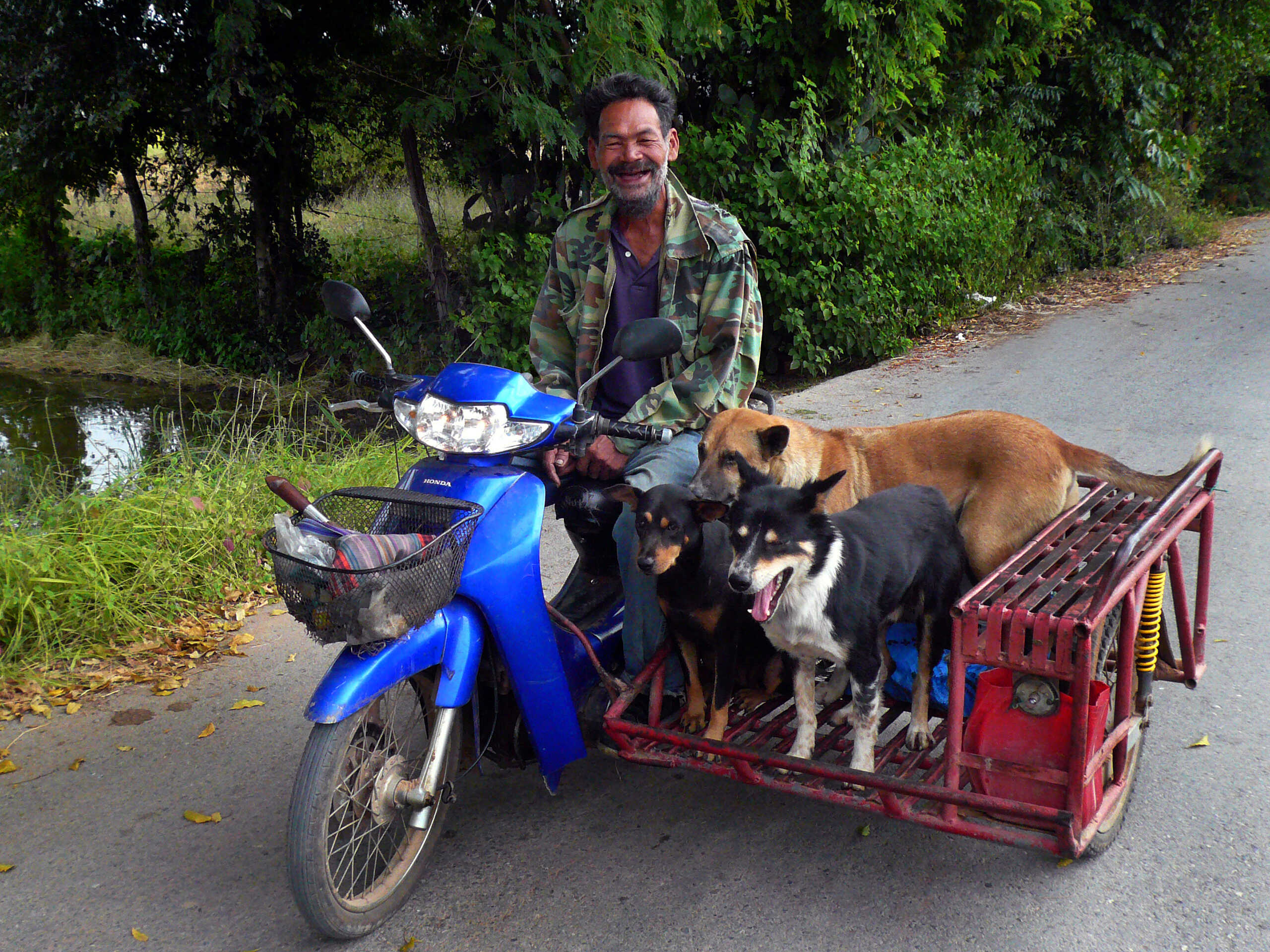 Dans la campagne de Kanchanaburi: agriculture, paysages, gens, moisson du riz. P1100710