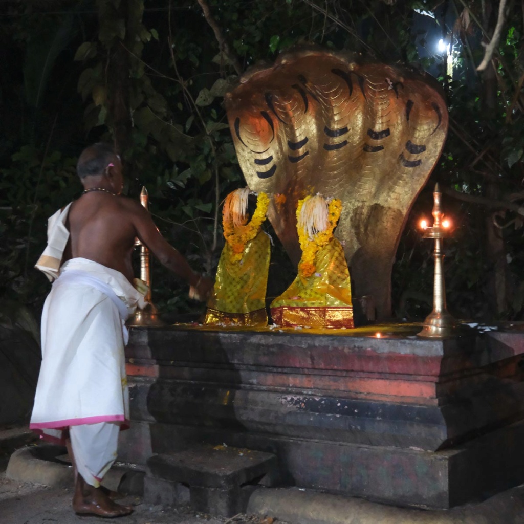 Une cérémonie originale à Munroe Island, au Kerala : l'homme qui se prenait pour un serpent ! _dsf8412