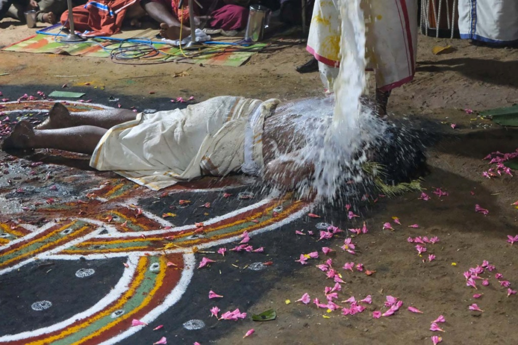 Une cérémonie originale à Munroe Island, au Kerala : l'homme qui se prenait pour un serpent ! _dsf8414
