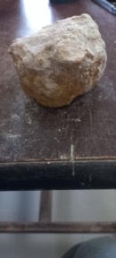 pierre ou fossile  17153310