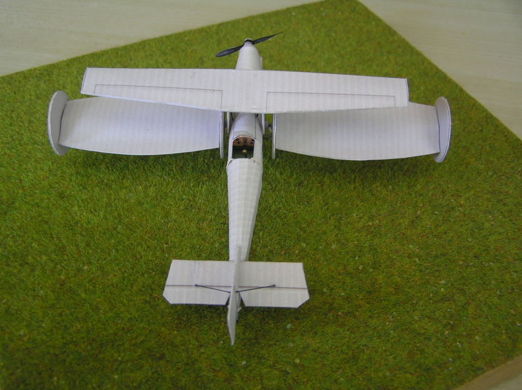 [Criquet papier] Aérogyre de Chappedelaine P1010119