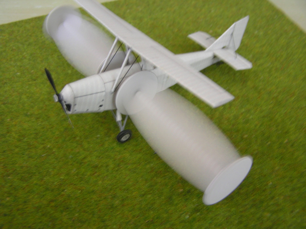 [Criquet papier] Aérogyre de Chappedelaine P1010121