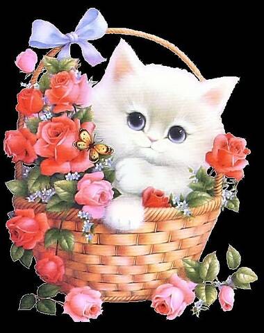 Joyeux Anniversaire Catherine Joyeux Anniversaire Catherine