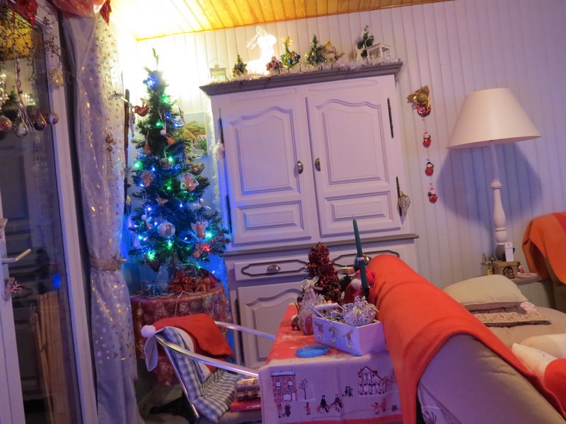 sapin de Noël - Page 3 Img_1214
