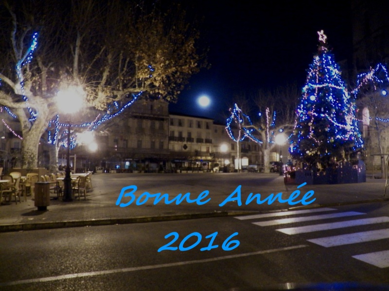 Bonne année 2016 2015_111