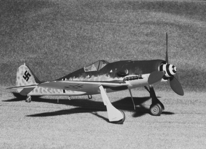 [REVELL] FOCKE WULF Fw 190 D-9 Réf H-215 Focke_19