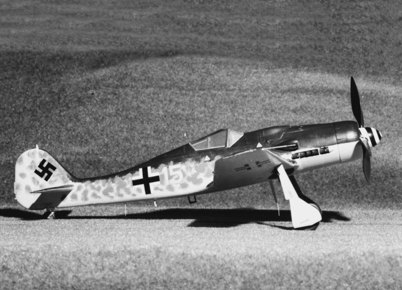 [REVELL] FOCKE WULF Fw 190 D-9 Réf H-215 Focke_20