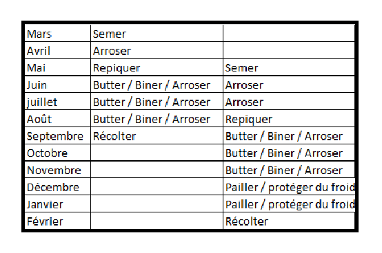 calendrier - Calendrier de culture du poireau Calend14