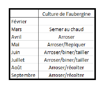 calendrier - Calendrier de culture de l'aubergine Calend22