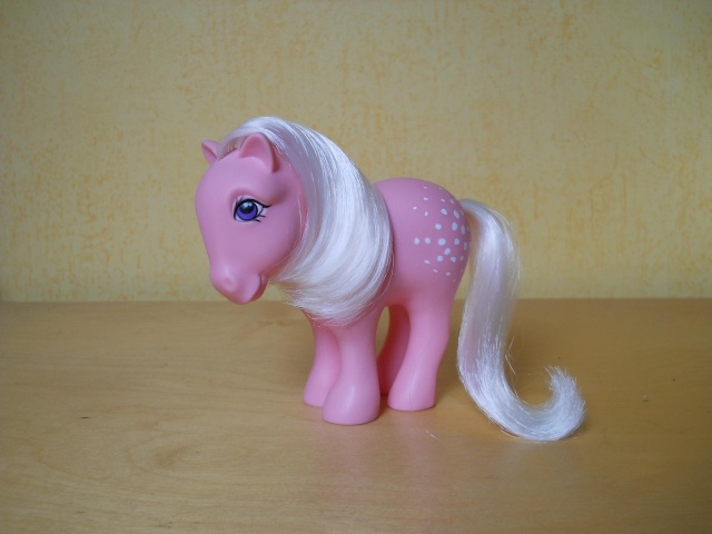 MON PETIT PONEY / LES COLLECTOR POSES Dscn3023