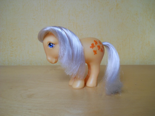 MON PETIT PONEY / LES COLLECTOR POSES Dscn3031