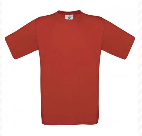 Le T-shirt 2016 - 10 ans - commande Red10