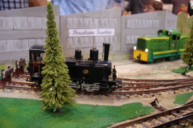 21 et 22 mai 2016 rencontre du train miniature guerignoise 02610