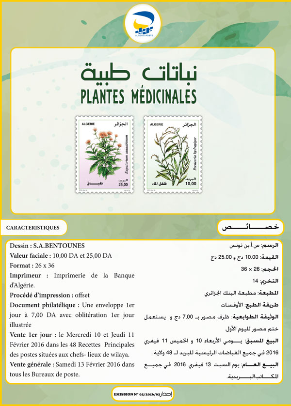 02.2016 : Plantes Medicinales Plante10