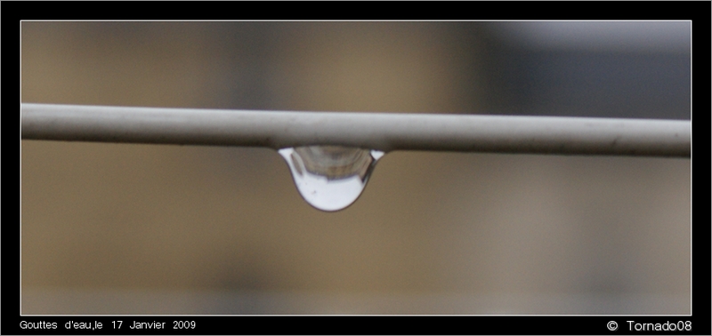 Série d'eau... Dsc00220