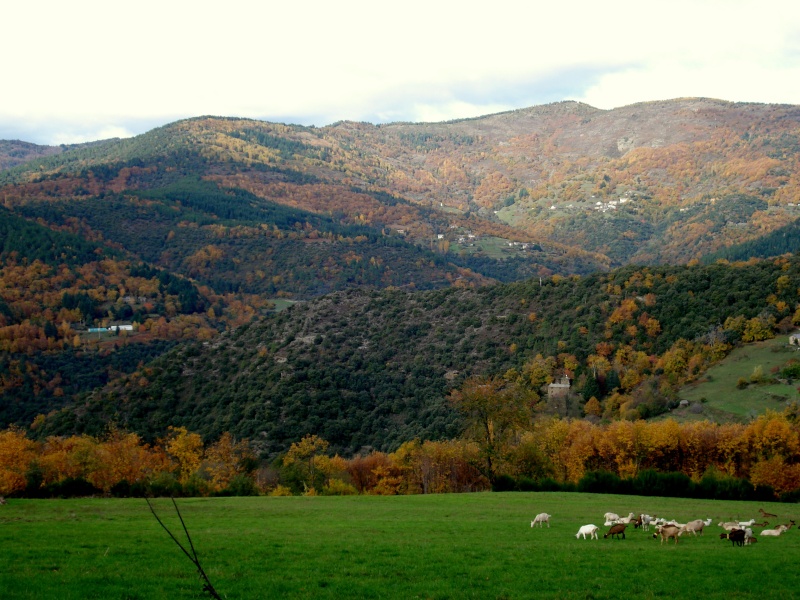 vues des cvennes Cadhoe13