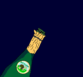 Bonne Année 2011 Tortue11