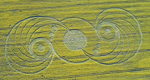 Nouveau crop circle mai 2010 P1070010