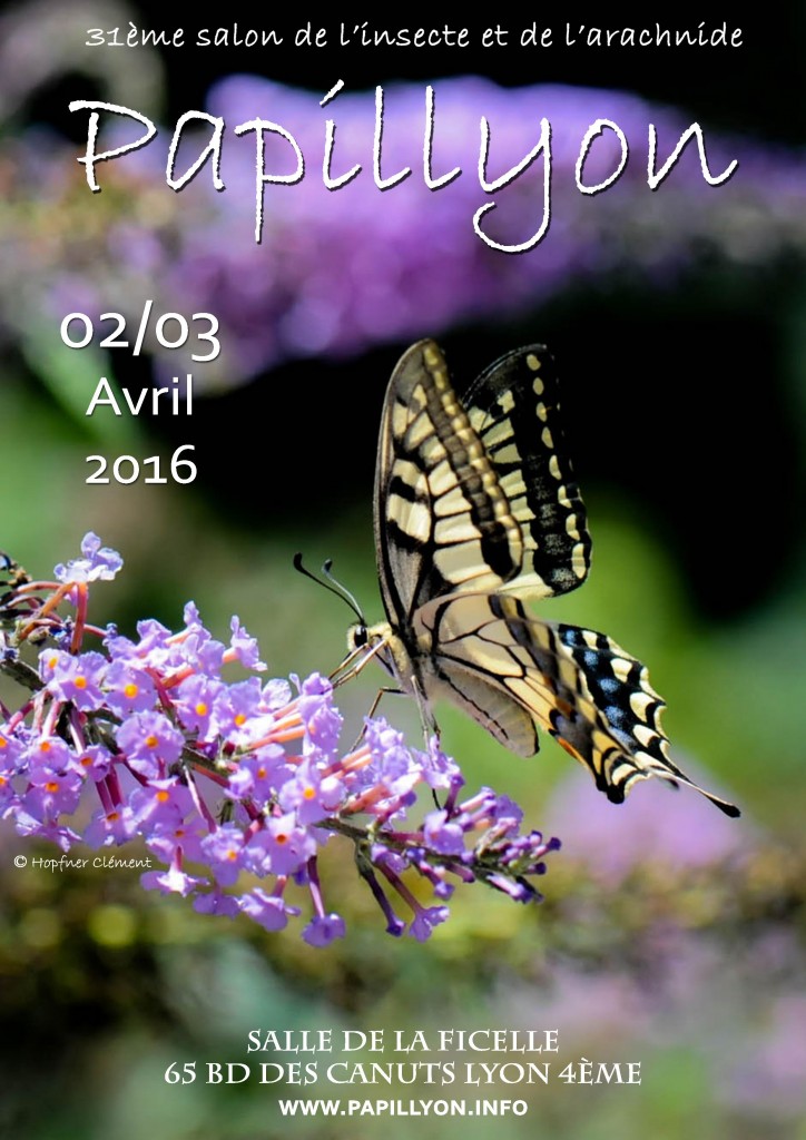 Papillyon 2016 : les 2 et 3 avril Affich10