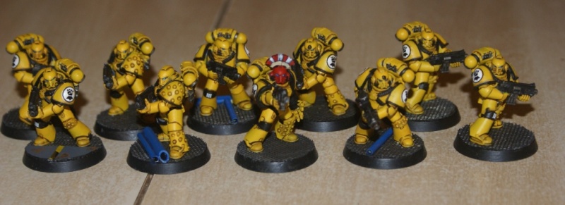 Imperial Fist pré hérésie - Page 4 Dsc03016