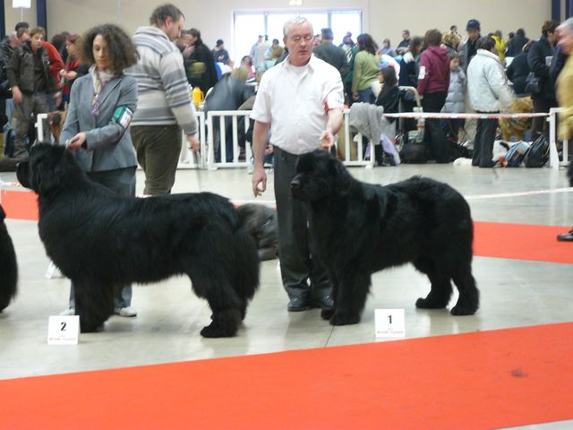 UNE SUPER RENCONTRE A PARIS DOG SHOW 2009.... P1040911